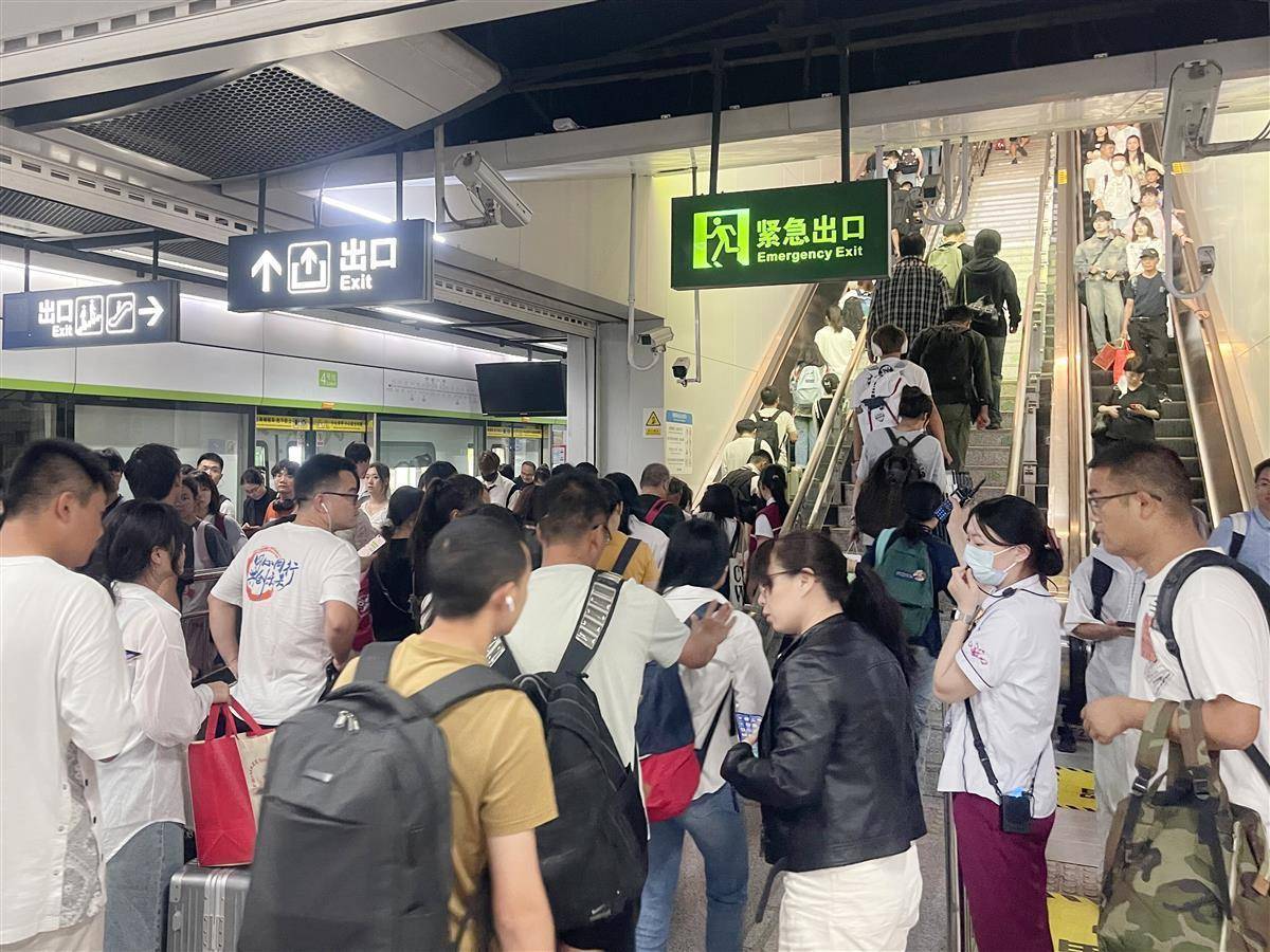 百人森林舞会